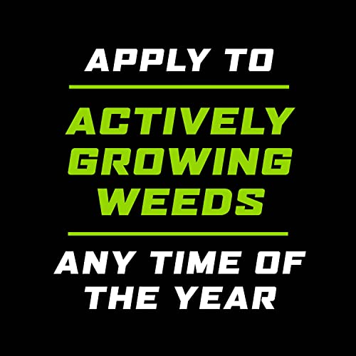 Weed and Grass Killer Concentrate for Landscape Beds, Patios, 32 oz Q66049