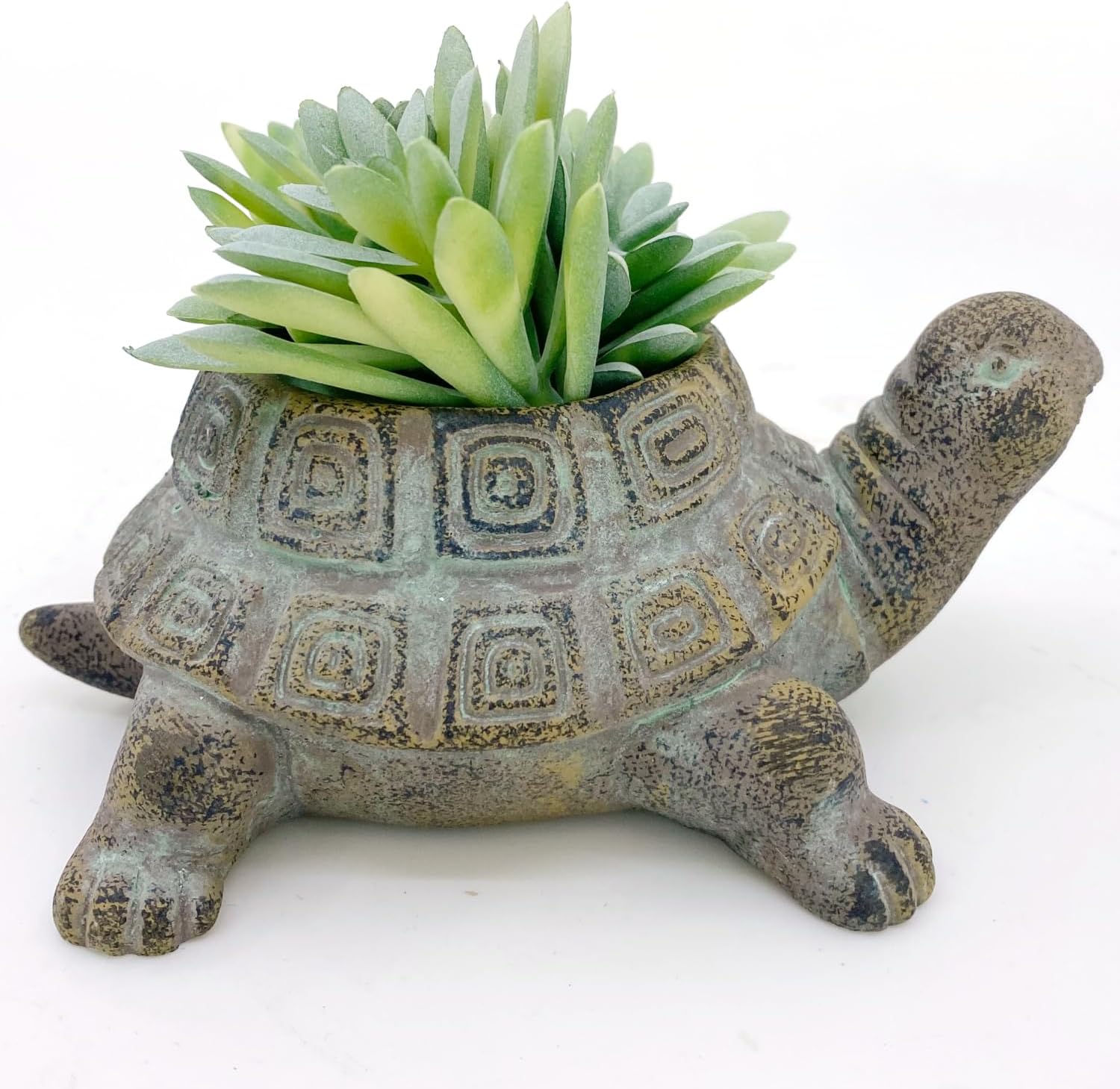 Small Cement Turtle Planter for Succulents C2896