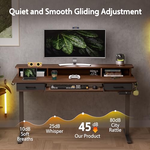 Electric Standing Desk with 2 Drawers, Height Adjustable for Home Office W495