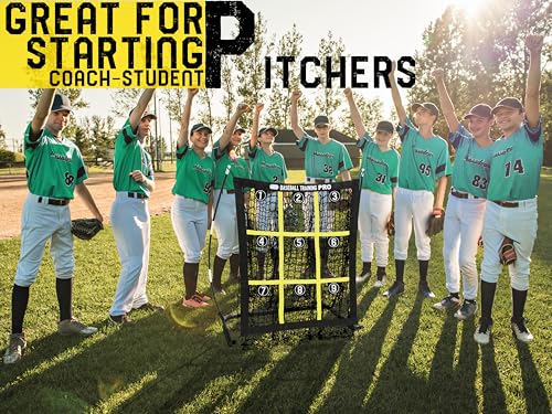 Baseball Softball Pitching Target Net with Strike Zone, Portable with Carry Bag C2748