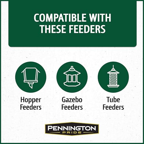 Wild Bird Seed for Outside Feeders, High-Protein, No-Hull, No-Waste, 15-lb Bag Q46704
