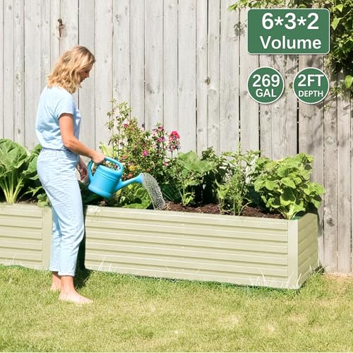 Galvanized Raised Garden Bed 8x4x2ft, Large Metal Planter Box for Outdoor Vegetables, Flowers & Herbs D2106