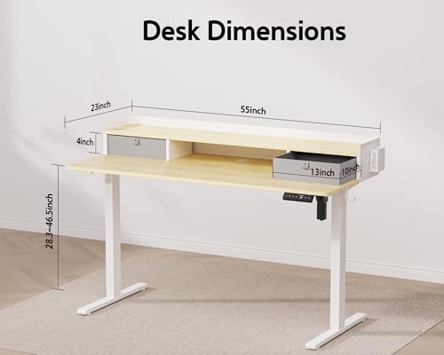Electric Standing Desk with 2 Drawers, Height Adjustable for Home Office W495