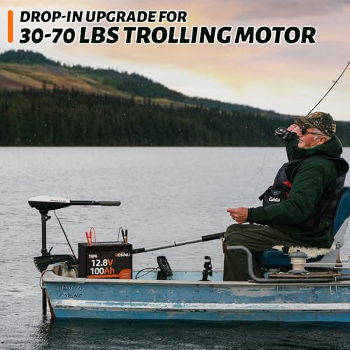 12V 100Ah Group 24 LiFePO4 Battery with 100A BMS, Deep Cycle for RV, Marine, Solar M985