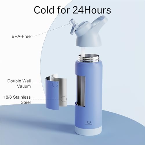 Insulated Water Bottle with Straw, 24 oz, Leakproof, BPA-Free B201134