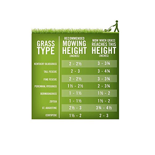 Annual Ryegrass for Overseeding Warm Season Lawns, 10 lb C2178
