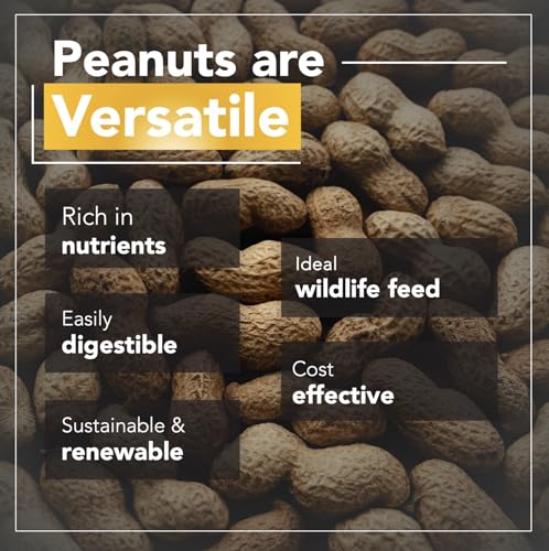 Raw Peanuts for Wildlife, 12 LB Pail X368