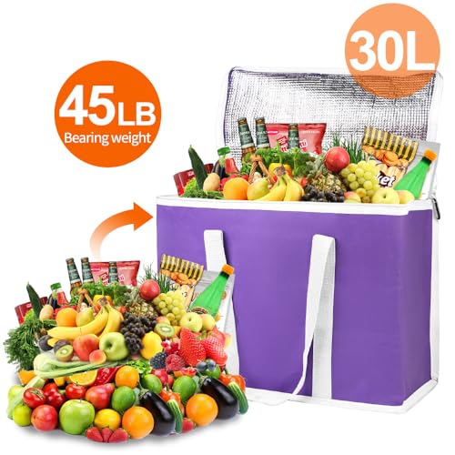 Insulated Food Delivery Bag Hot Cold Meal Carrier F1699