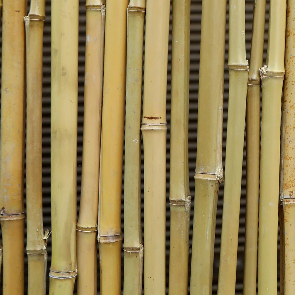 Bamboo Fence Roll 8ft x 6ft, Outdoor Privacy Screen for Patio and Balcony W534689