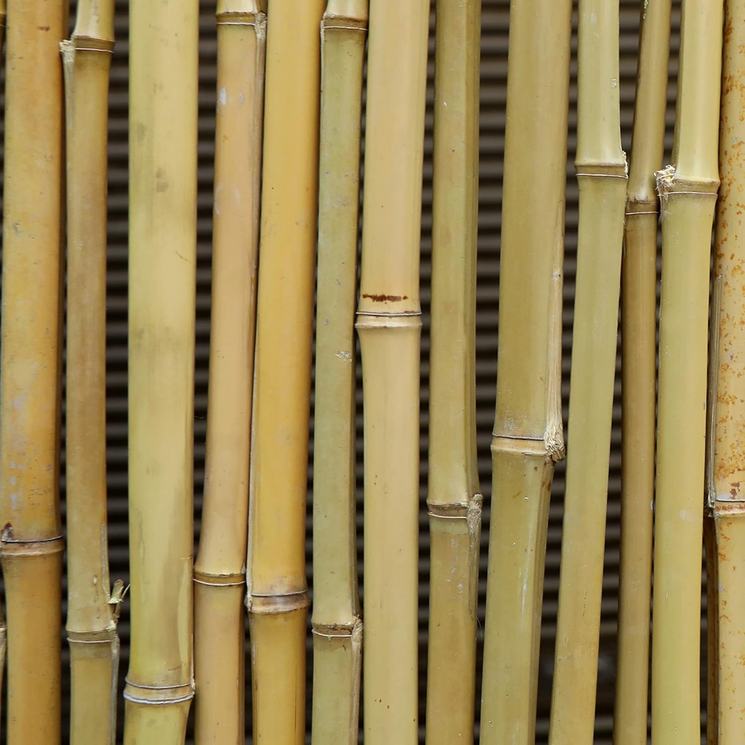 Bamboo Fence Roll 8ft x 6ft, Outdoor Privacy Screen for Patio and Balcony W534689