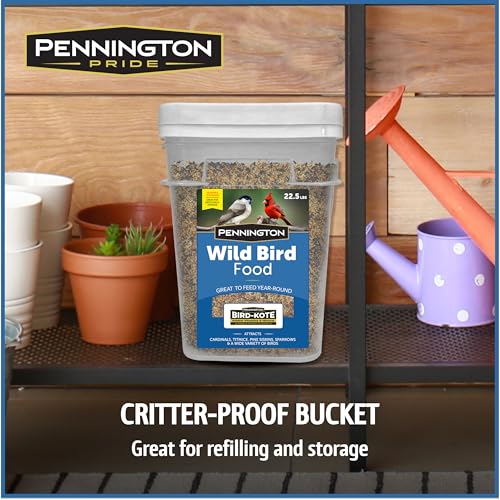 Wild Bird Seed for Outside Feeders, High-Protein, No-Hull, No-Waste, 15-lb Bag Q46704