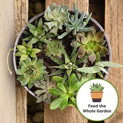 Succulent and Cactus Fertilizer, 5oz Bag for Live Plants U928
