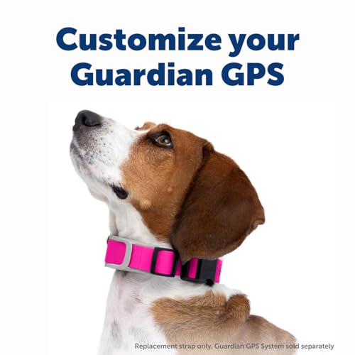 GPS Dog Fence for Yards 3/4 Acres or Larger with Wireless Collar P3787