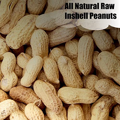 Wildlife Shelled Peanuts, 10 lbs for Birds and Squirrels C82678