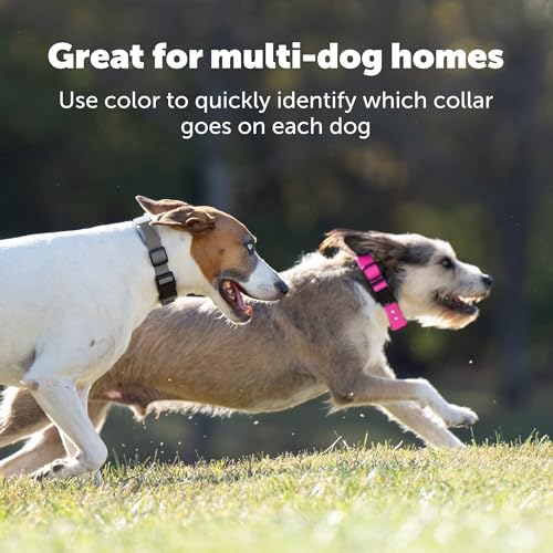 GPS Dog Fence for Yards 3/4 Acres or Larger with Wireless Collar P3787