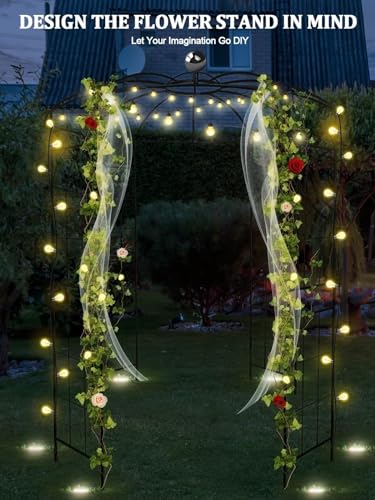 Birdcage Shape Garden Arch Plant Climbing Trellis for Outdoor Patio E83402