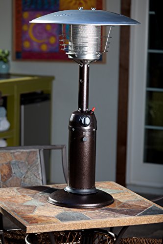 Portable Patio Heater Outdoor Tabletop Propane 10,000 BTU Stainless Steel S4633