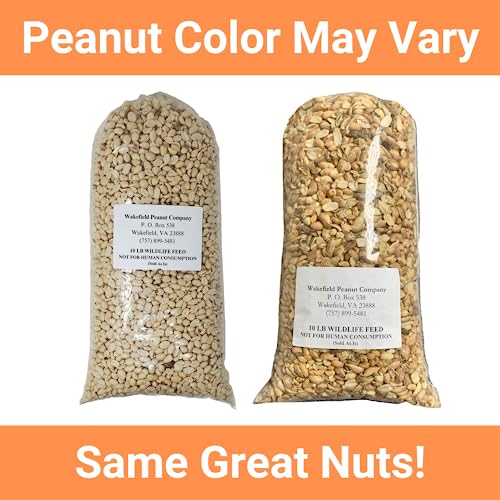 Extra Large Virginia Peanuts for Animals, 25 LBS E776730