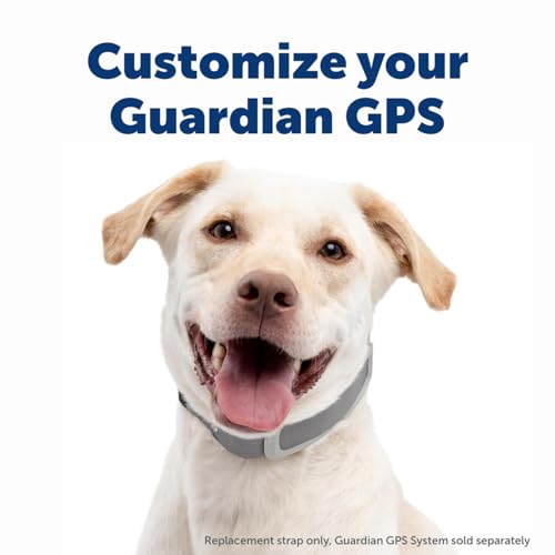 GPS Dog Fence for Yards 3/4 Acres or Larger with Wireless Collar P3787