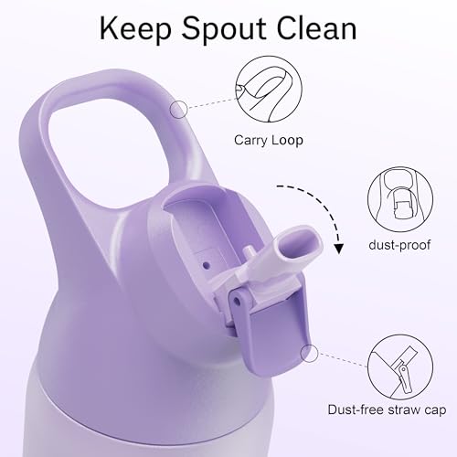 Insulated Water Bottle with Straw, 24 oz, Leakproof, BPA-Free B201134