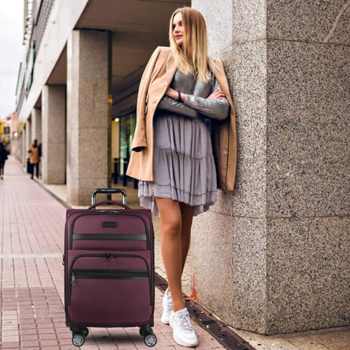Softside Expandable Carry On Luggage with Spinner Wheels and TSA Lock B846