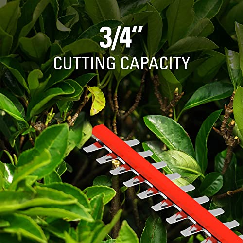 Cordless Hedge Trimmer with Battery and Charger S492628