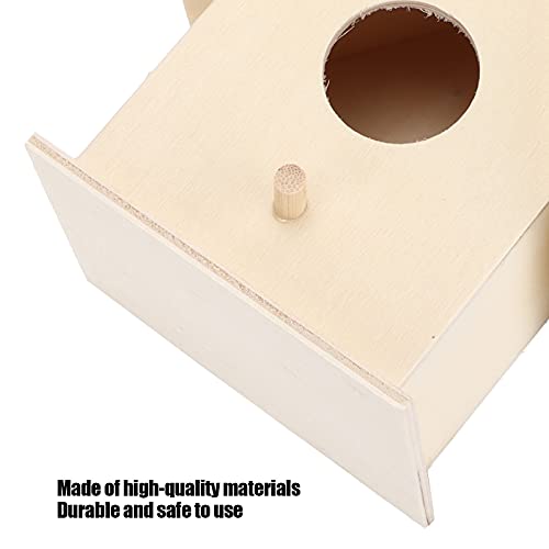 Small Hanging Wooden Bird House Kit for Kids DIY Outdoor Nest P34008