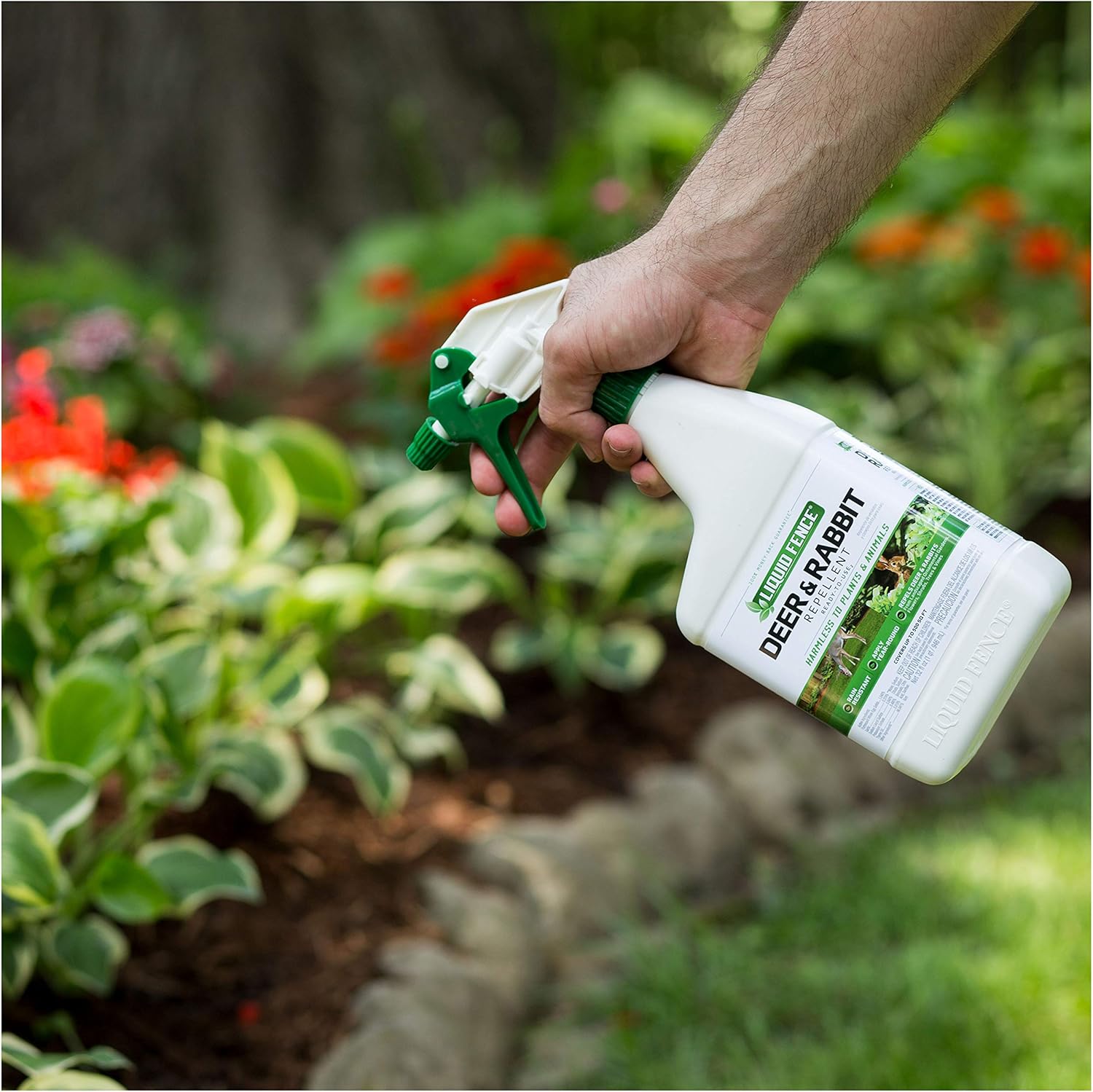 Deer & Rabbit Repellent Ready-to-Use, 32 oz L3257