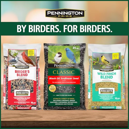 Wild Bird Seed for Outside Feeders, High-Protein, No-Hull, No-Waste, 15-lb Bag Q46704