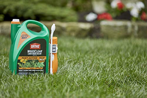 Weed Killer for Northern Lawns, 1.33 gal. P19303