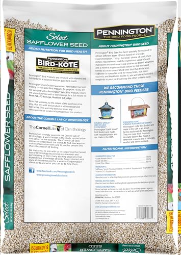 Wild Bird Seed for Outside Feeders, High-Protein, No-Hull, No-Waste, 15-lb Bag Q46704