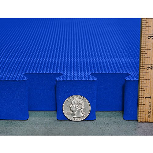 Interlocking EVA Foam Mats for Wrestling, MMA & Gymnastics F52987