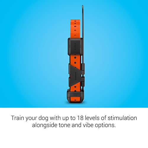 GPS Dog Tracking and Training Collar Y817