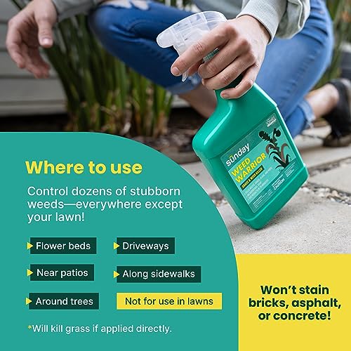 Grass & Weed Killer Spray, 32oz, 2 Pack G555