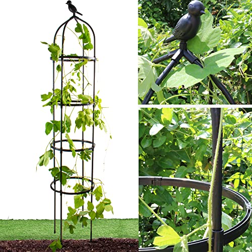 Garden Trellis for Climbing Plants, Rustproof Metal Pipe with Heavy Duty 6ft, Garden Outdoor Indoor Potted Plant Support（White）…