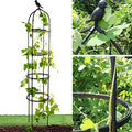 Garden Trellis for Climbing Plants, Rustproof Metal Pipe with Heavy Duty 6ft, Garden Outdoor Indoor Potted Plant Support（White）…