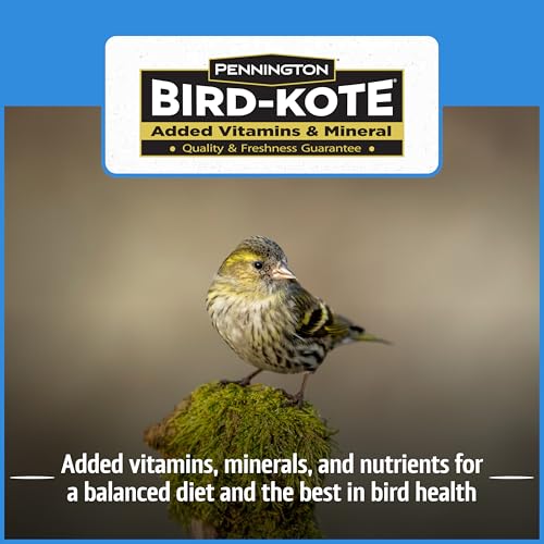 Wild Bird Seed for Outside Feeders, High-Protein, No-Hull, No-Waste, 15-lb Bag Q46704