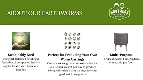 Red Wiggler Compost Worms - 1/2 lb Live Worms for Composting and Gardens T485