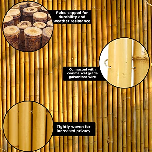 Natural Bamboo Fencing Garden Screen Rolled Fence Panel 6 ft H x 8 ft L S399452