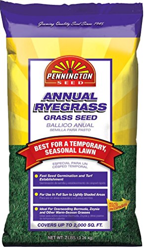 Pennington Annual Ryegrass to Overseed Warm Season Grasses, 10 lb