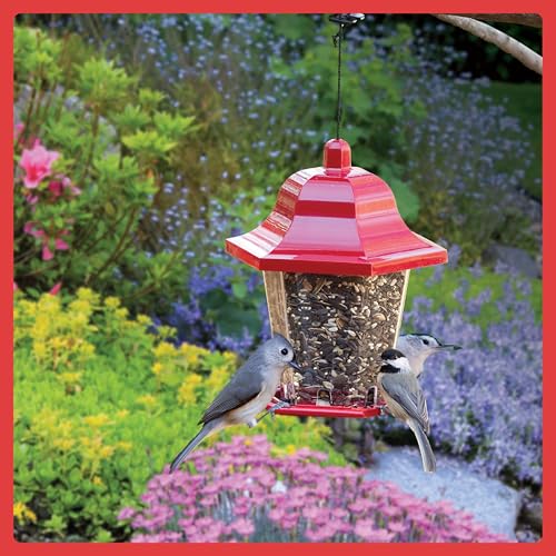 Wild Bird Seed for Outside Feeders, High-Protein, No-Hull, No-Waste, 15-lb Bag Q46704