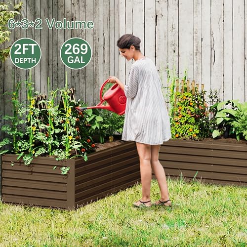 Galvanized Raised Garden Bed 8x4x2ft, Large Metal Planter Box for Outdoor Vegetables, Flowers & Herbs D2106