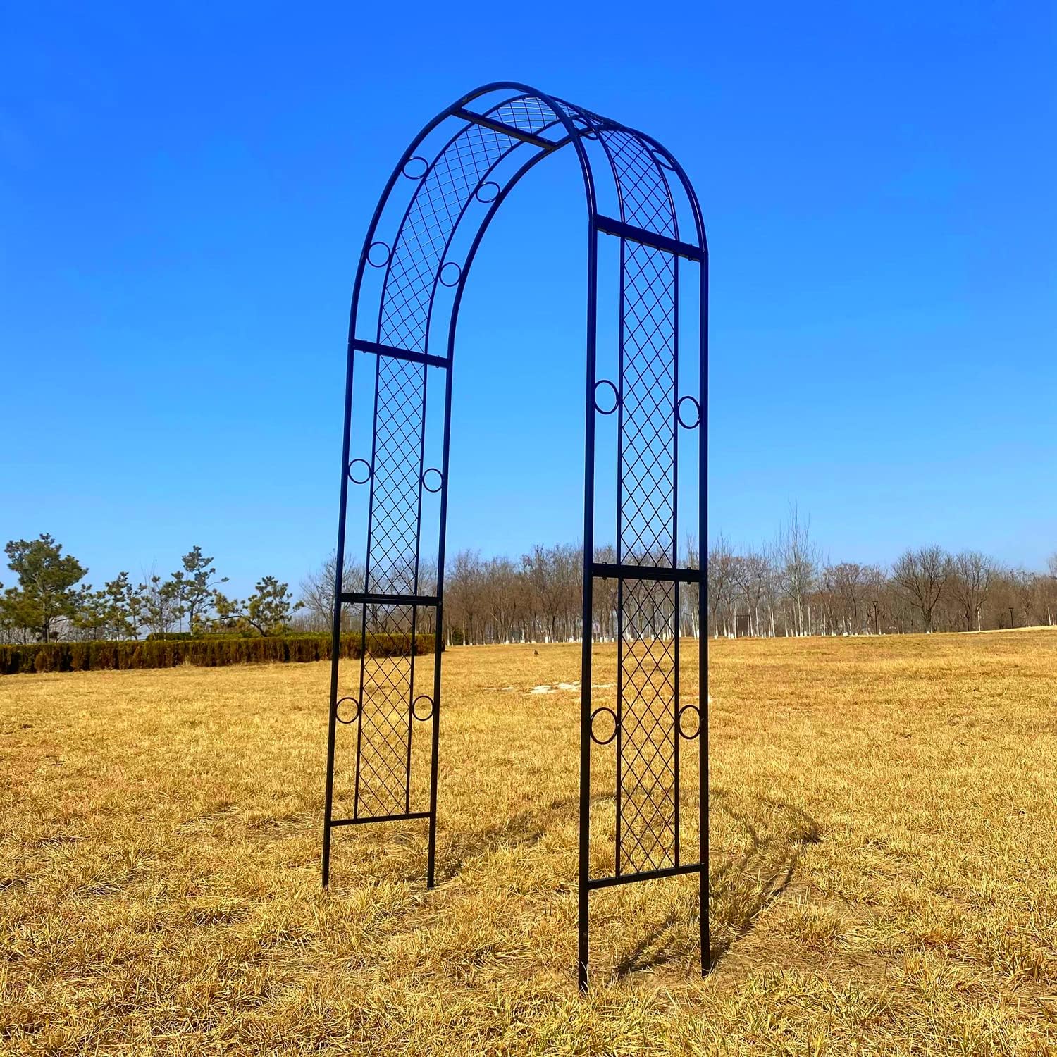 Metal Garden Arch Trellis for Climbing Plants, Black Q441333