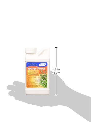 Spurge Power Herbicide, One Pint F2613