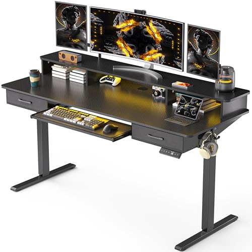 Electric Standing Desk with 2 Drawers, Height Adjustable for Home Office W495