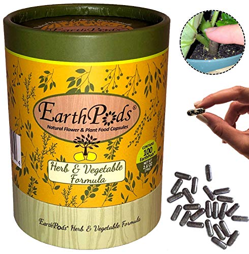 Succulent Plant Food Spikes for Indoor Potted Plants, 100 Capsules T961312