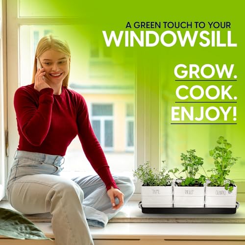 Herb Pot Planter Set with Tray for Indoor or Outdoor Use, White Metal G132003
