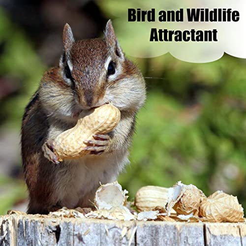 Wildlife Shelled Peanuts, 10 lbs for Birds and Squirrels C82678
