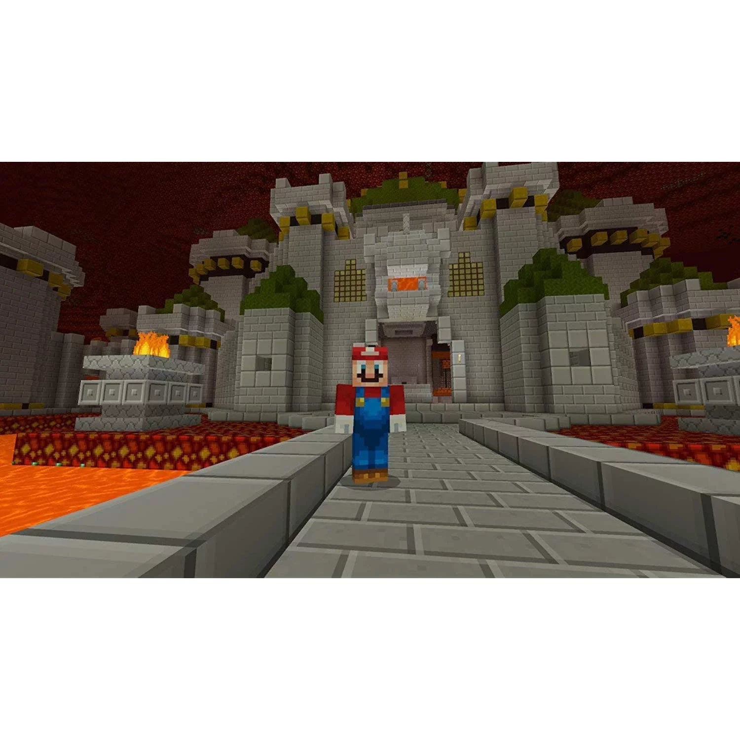 Minecraft with Super Mario Mash-up - Nintendo Switch U714