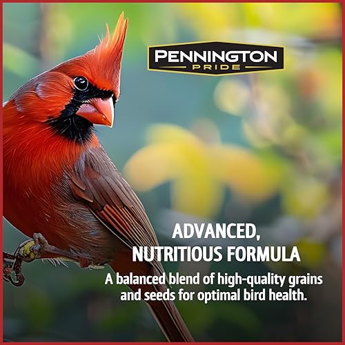 Wild Bird Seed for Outside Feeders, High-Protein, No-Hull, No-Waste, 15-lb Bag Q46704